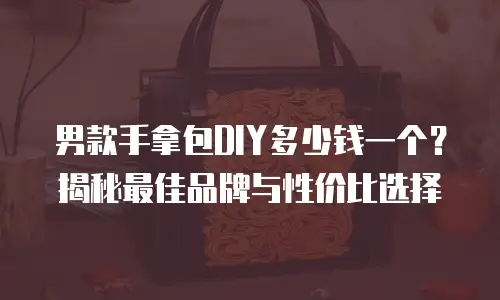 男款手拿包DIY多少钱一个？揭秘最佳品牌与性价比选择