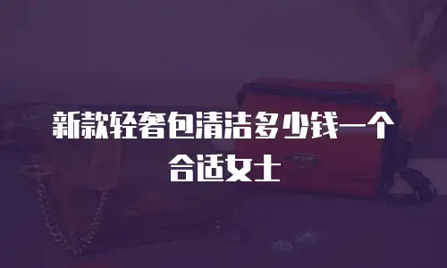 新款轻奢包清洁多少钱一个合适女士