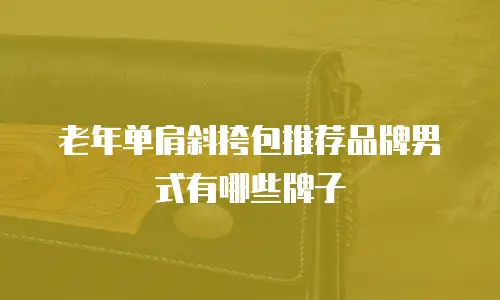 老年单肩斜挎包推荐品牌男式有哪些牌子