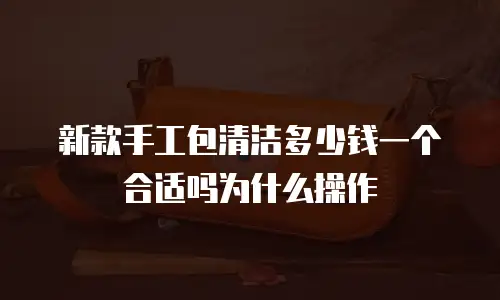 新款手工包清洁多少钱一个合适吗为什么操作