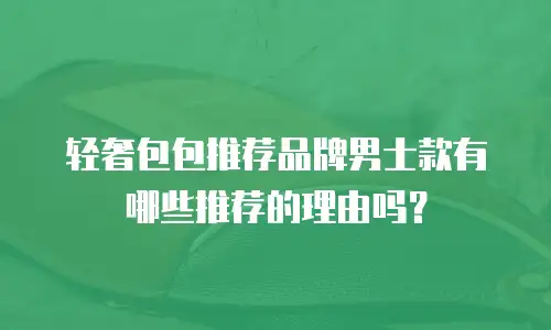 轻奢包包推荐品牌男士款有哪些推荐的理由吗？