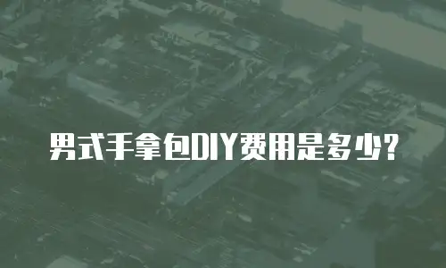 男式手拿包DIY费用是多少？