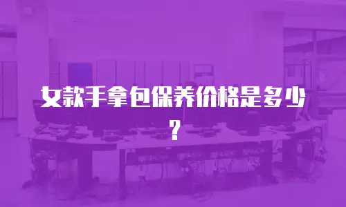 女款手拿包保养价格是多少？
