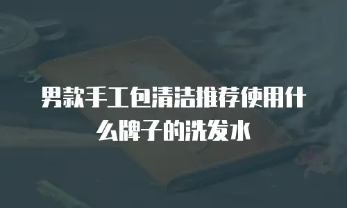 男款手工包清洁推荐使用什么牌子的洗发水