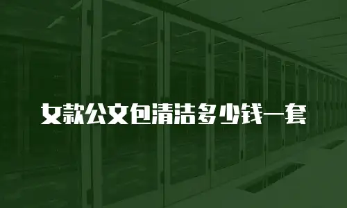 女款公文包清洁多少钱一套