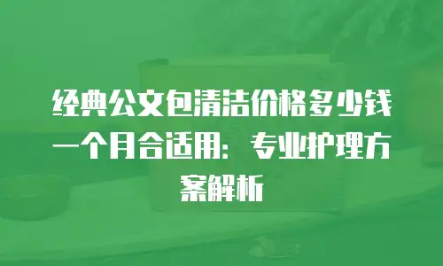 经典公文包清洁价格多少钱一个月合适用：专业护理方案解析