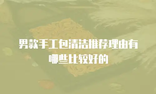 男款手工包清洁推荐理由有哪些比较好的