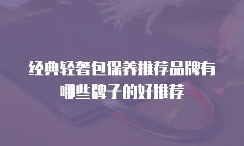 经典轻奢包保养推荐品牌有哪些牌子的好推荐