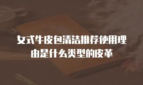 女式牛皮包清洁推荐使用理由是什么类型的皮革