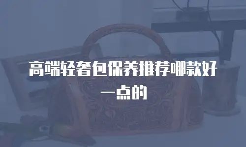 高端轻奢包保养推荐哪款好一点的