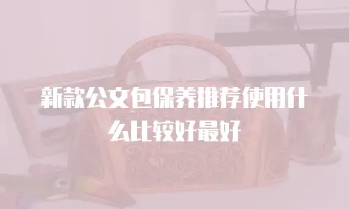新款公文包保养推荐使用什么比较好最好