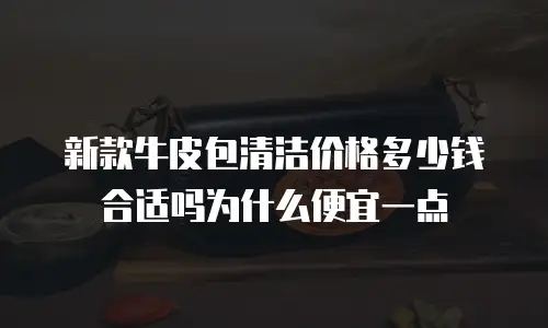 新款牛皮包清洁价格多少钱合适吗为什么便宜一点