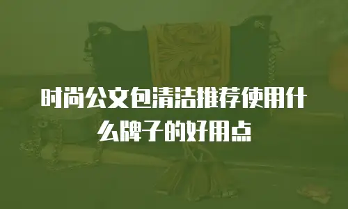 时尚公文包清洁推荐使用什么牌子的好用点
