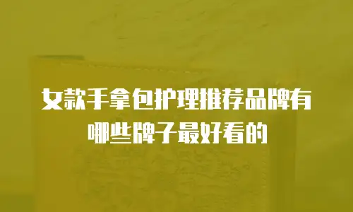 女款手拿包护理推荐品牌有哪些牌子最好看的