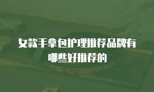 女款手拿包护理推荐品牌有哪些好推荐的
