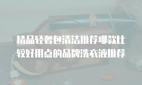 精品轻奢包清洁推荐哪款比较好用点的品牌洗衣液推荐