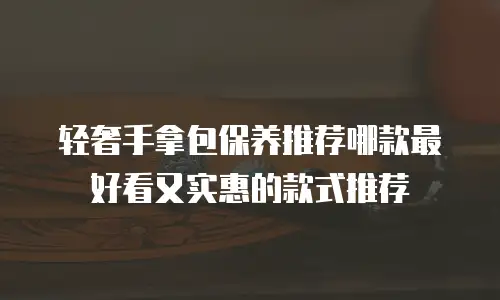 轻奢手拿包保养推荐哪款最好看又实惠的款式推荐