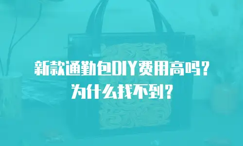 新款通勤包DIY费用高吗？为什么找不到？