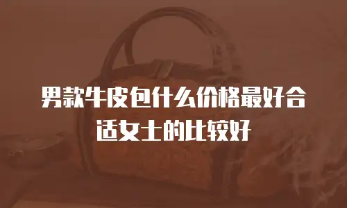 男款牛皮包什么价格最好合适女士的比较好