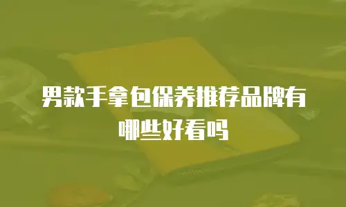男款手拿包保养推荐品牌有哪些好看吗