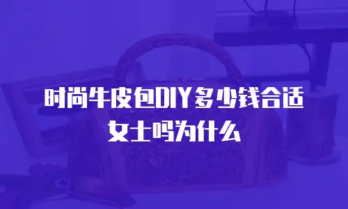 时尚牛皮包DIY多少钱合适女士吗为什么
