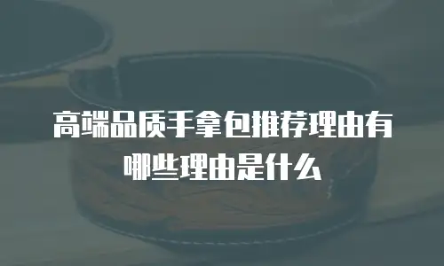 高端品质手拿包推荐理由有哪些理由是什么
