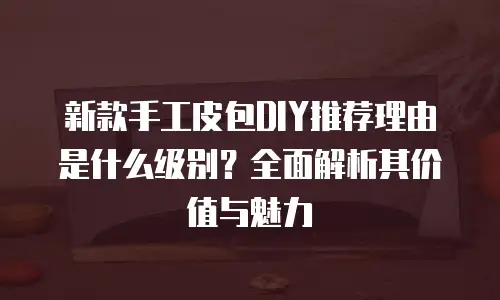 新款手工皮包DIY推荐理由是什么级别？全面解析其价值与魅力