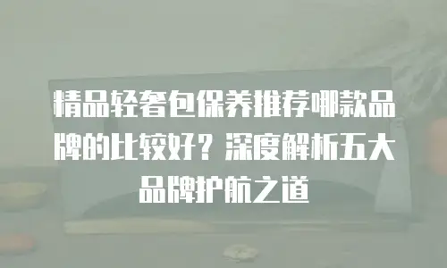 精品轻奢包保养推荐哪款品牌的比较好？深度解析五大品牌护航之道