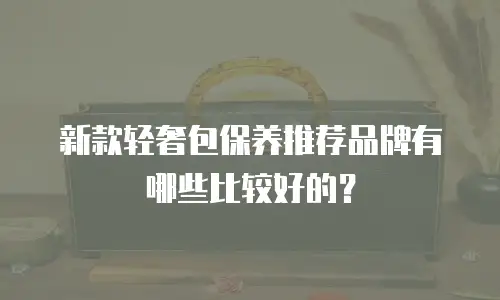 新款轻奢包保养推荐品牌有哪些比较好的？