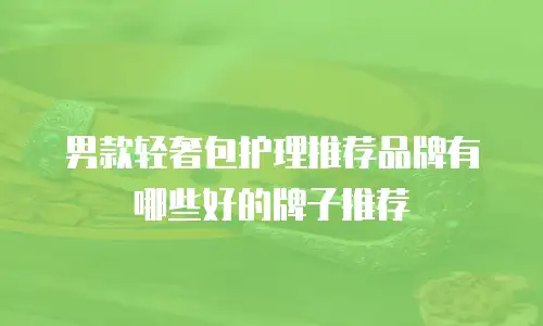 男款轻奢包护理推荐品牌有哪些好的牌子推荐