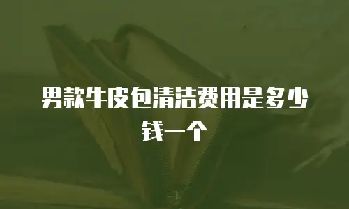 男款牛皮包清洁费用是多少钱一个
