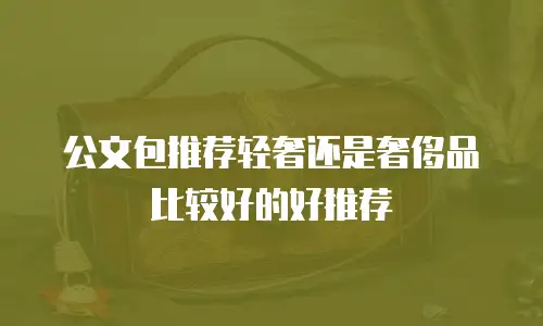公文包推荐轻奢还是奢侈品比较好的好推荐