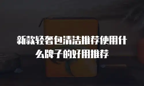 新款轻奢包清洁推荐使用什么牌子的好用推荐