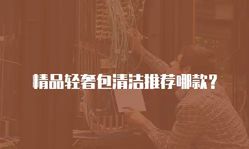 精品轻奢包清洁推荐哪款？