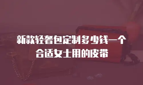 新款轻奢包定制多少钱一个合适女士用的皮带