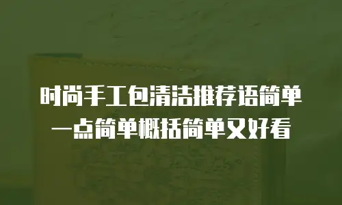 时尚手工包清洁推荐语简单一点简单概括简单又好看