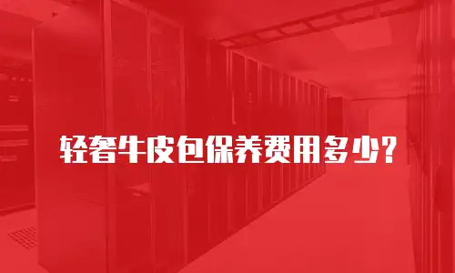 轻奢牛皮包保养费用多少？