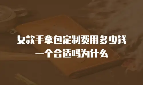女款手拿包定制费用多少钱一个合适吗为什么