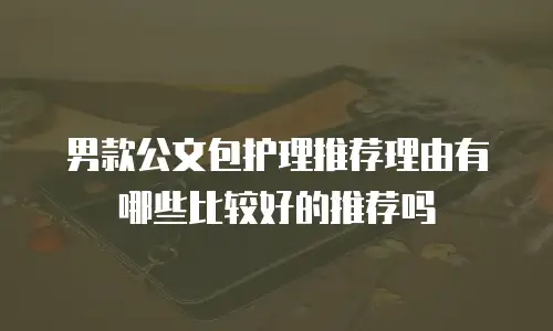 男款公文包护理推荐理由有哪些比较好的推荐吗