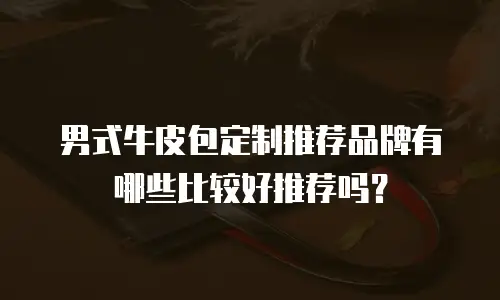男式牛皮包定制推荐品牌有哪些比较好推荐吗？