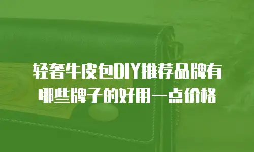 轻奢牛皮包DIY推荐品牌有哪些牌子的好用一点价格