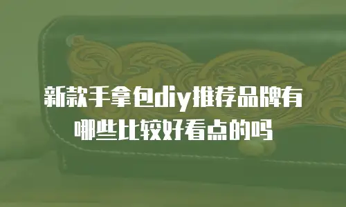 新款手拿包diy推荐品牌有哪些比较好看点的吗