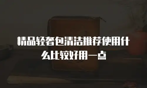精品轻奢包清洁推荐使用什么比较好用一点