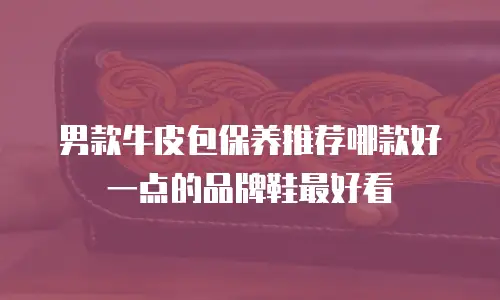 男款牛皮包保养推荐哪款好一点的品牌鞋最好看