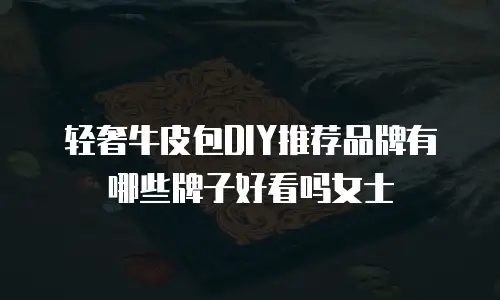 轻奢牛皮包DIY推荐品牌有哪些牌子好看吗女士