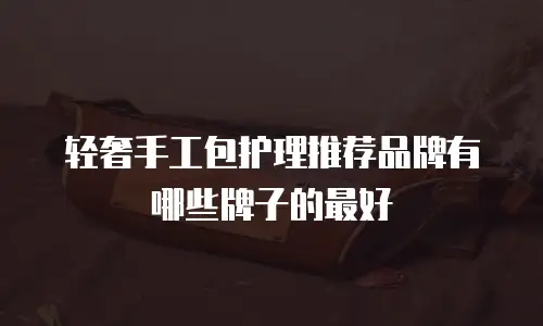 轻奢手工包护理推荐品牌有哪些牌子的最好