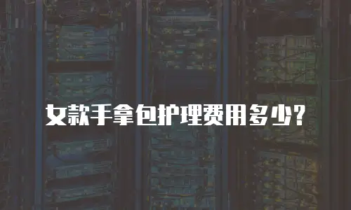 女款手拿包护理费用多少？