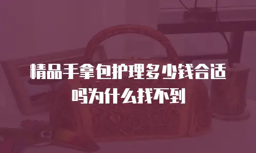 精品手拿包护理多少钱合适吗为什么找不到