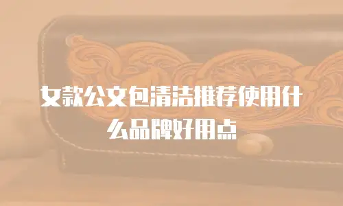 女款公文包清洁推荐使用什么品牌好用点