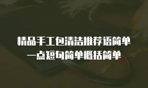精品手工包清洁推荐语简单一点短句简单概括简单